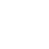 Phoen icon